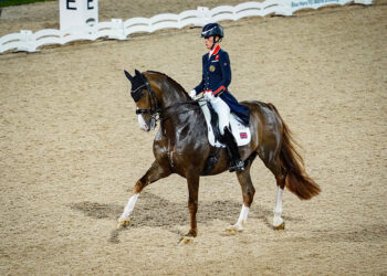 JO 2024 : Cavalière virée en plein concours pour maltraitance animale, scandale en direct !