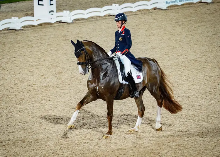 JO 2024 : Cavalière virée en plein concours pour maltraitance animale, scandale en direct !