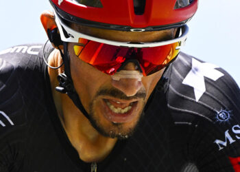 Alaphilippe crie victoire… mais l’étape lui échappe sous les yeux !