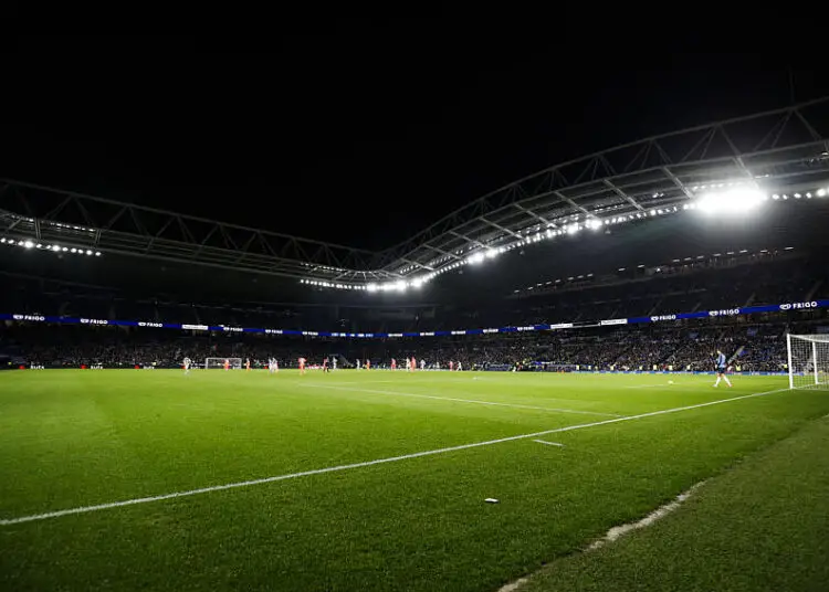Insolite : un animal sauvage dans un stade en Espagne