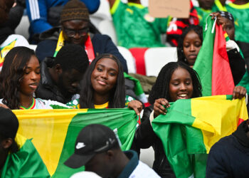 Lions indomptables : la prime présidentielle qui fait halluciner