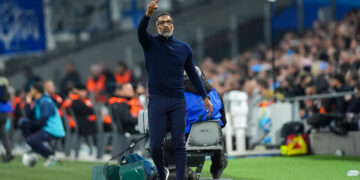 Habib Beye, la double désillusion !