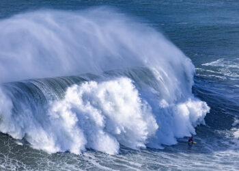WSL en chaos : un photographe attaqué par un requin, le circuit immédiatement interrompu !